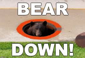 bear down.jpg